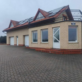 Lawenda in Borkowo